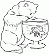 coloriage,chat,regarde,poisson,bocal.gif